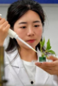 优秀科技工作者 | 王志华：“植物医生”痴迷昆虫十二载