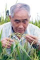 每天认识一位科学家 | 周开达：被誉为“西南杂交稻之父”
